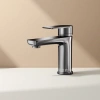 المسدس الرمادي البارد الساخن من الصنبور Specification image